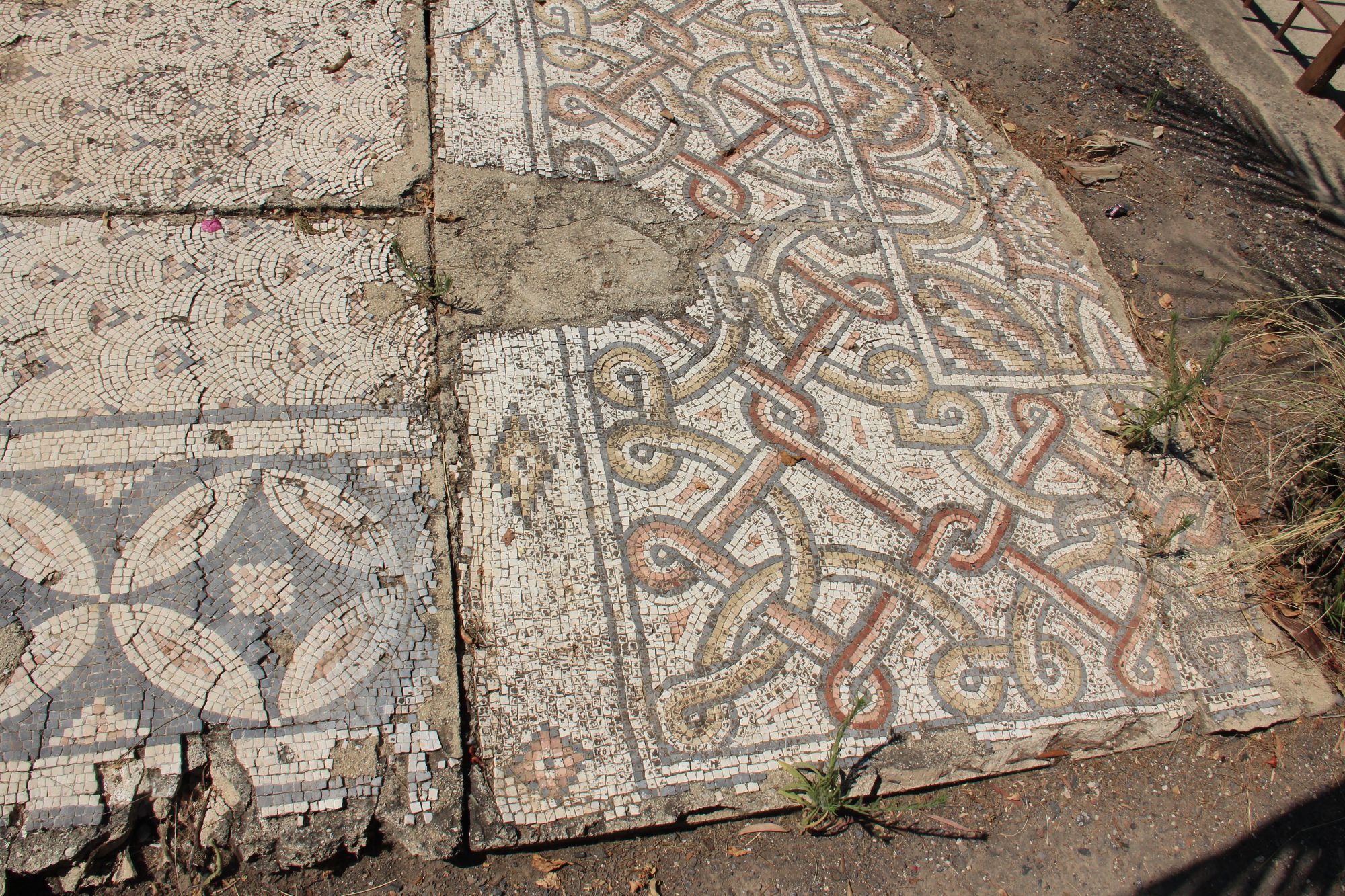 Capharnaum 75